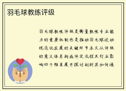 羽毛球教练评级